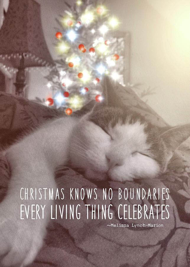 CHRISTMAS NAP quote Photograph by JAMART Photography