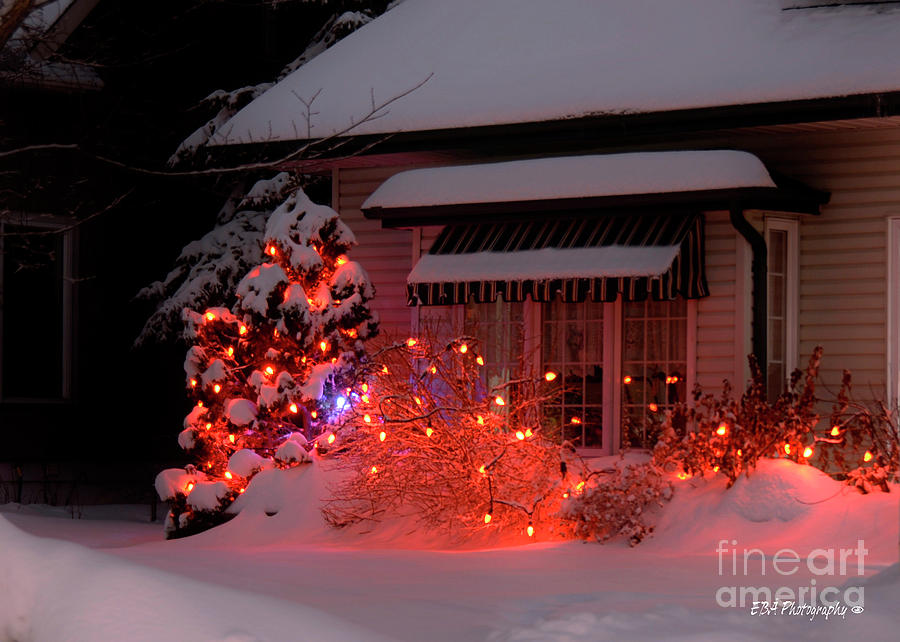 Christmas on Hemlock Photograph by Elaine Berger