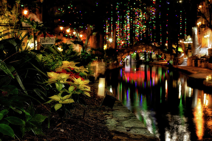 Christmas on the Riverwalk - San Antonio Photograph by Jason Politte