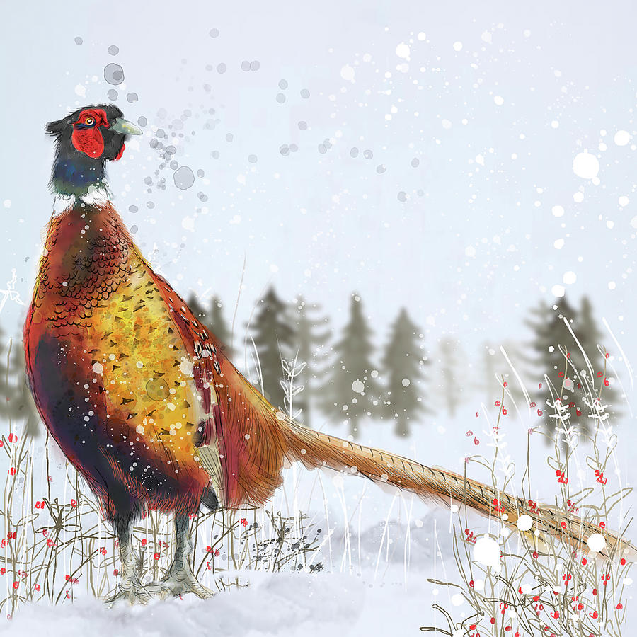 Animal Painting - Christmas Pheasant by Clare Davis London
