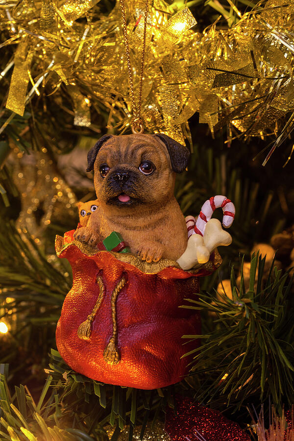 christmas pug teddy