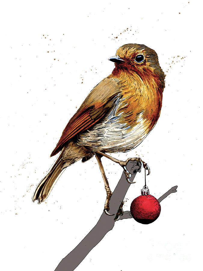 Animal Painting - Christmas Robin On White, 2020 by Mike Davis
