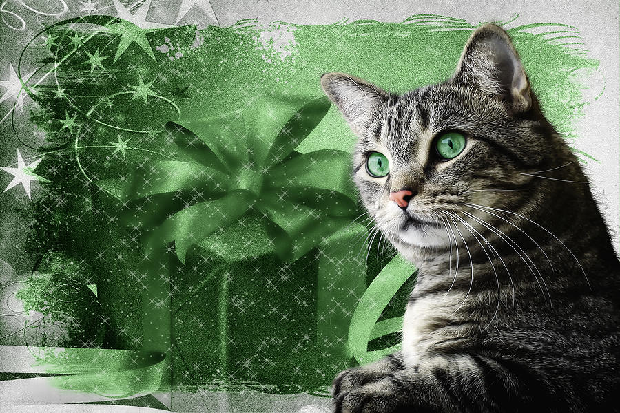 Christmas Silver Tabby Cat with Green Digital Art by Doreen Erhardt