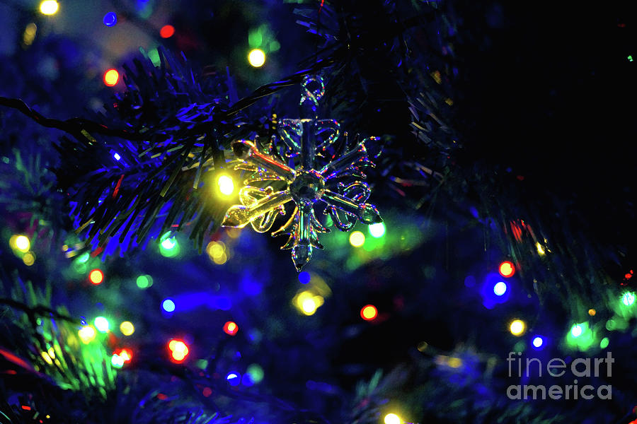Christmas Snowflake Photograph by Cassandra Buckley