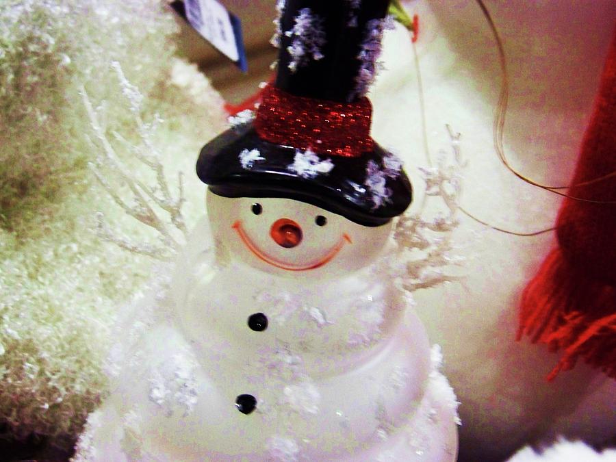 Christmas Snowman Photograph by Julie Rauscher