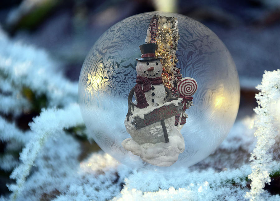 Christmas Snowman Photograph by Steph Gabler