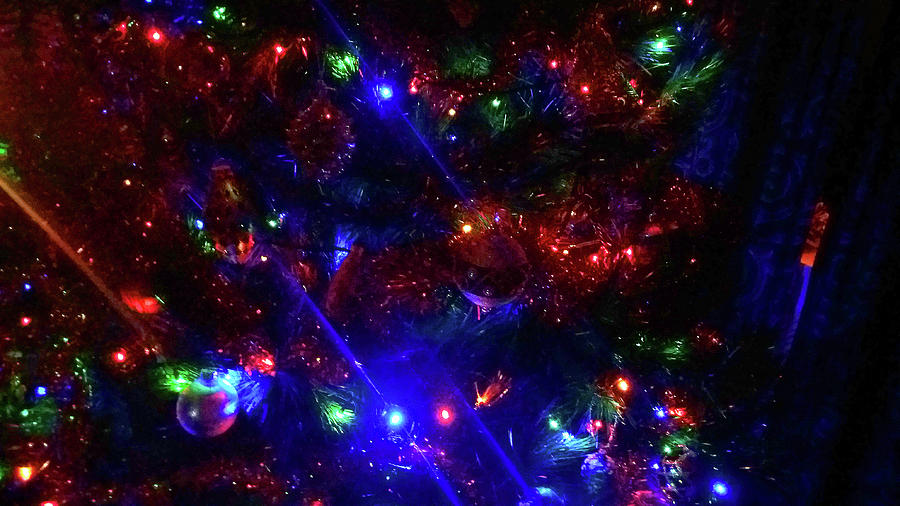 Christmas Sparkle by Nareeta Martin Christmas Sparkle by Nareeta Martin