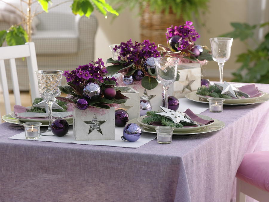 Christmas Table Decoration With African Violets Photograph by Friedrich Strauss