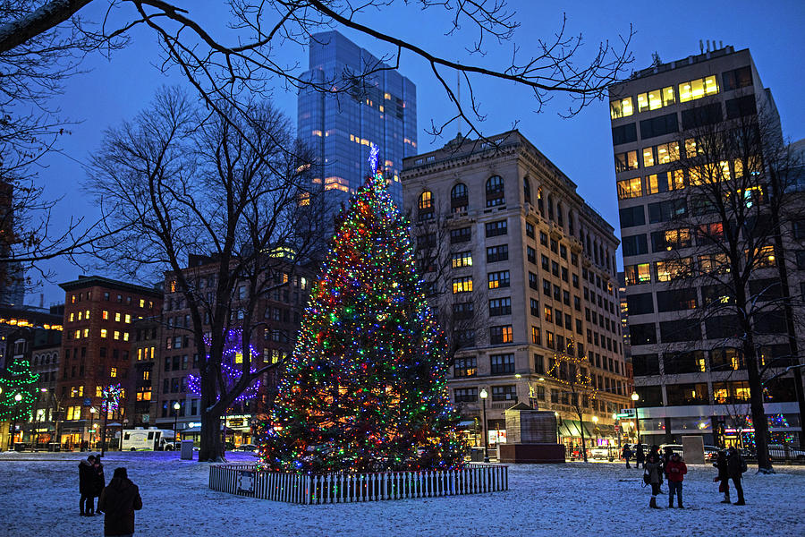 Christmas time on the Boston Common Boston MA Winter Snow Photograph by Toby McGuire