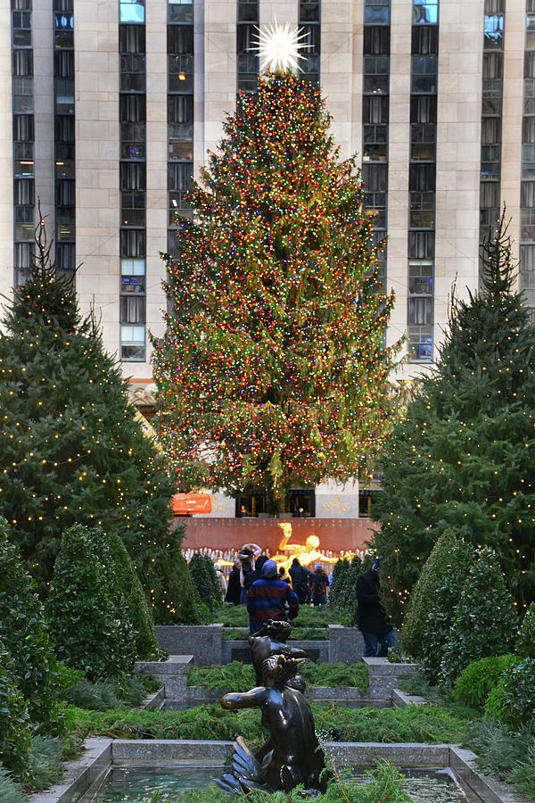 Christmas Tree #1, Rockefeller Center Photograph by Jerry Griffin