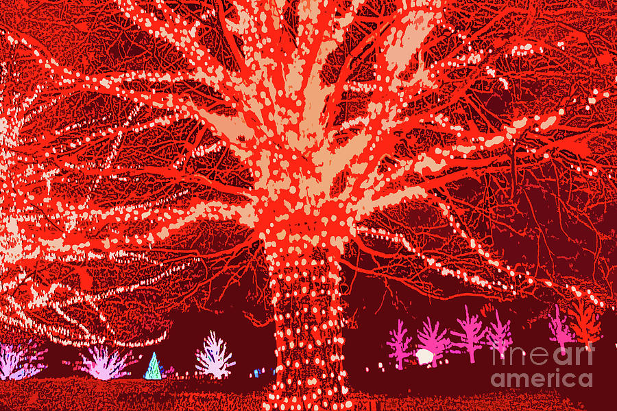 Christmas tree 21 Digital Art by Chris Taggart - Pixels