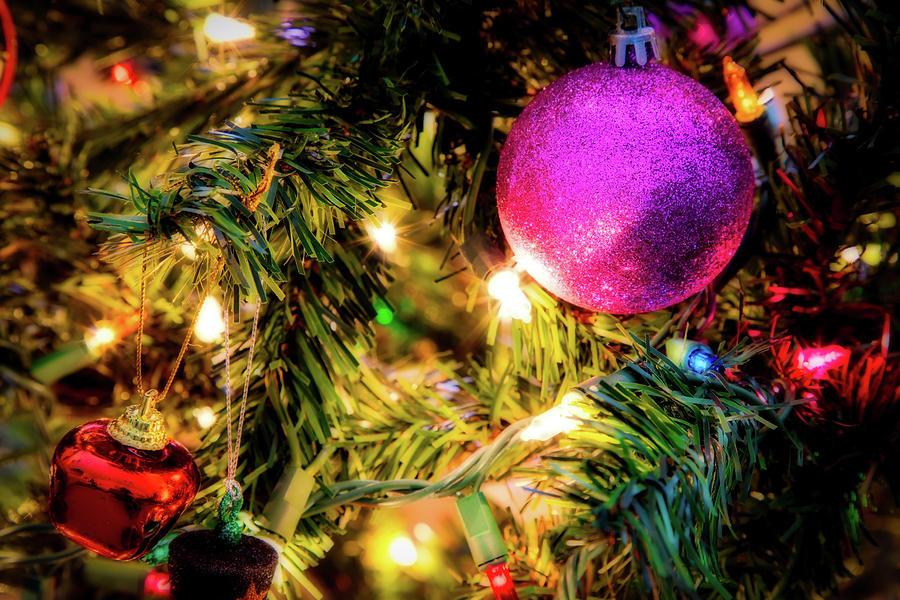 Christmas Tree 4 Photograph by Bill Chizek - Fine Art America