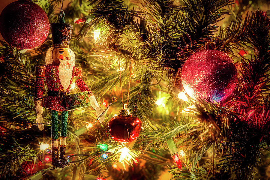 Christmas Tree 7 Photograph by Bill Chizek