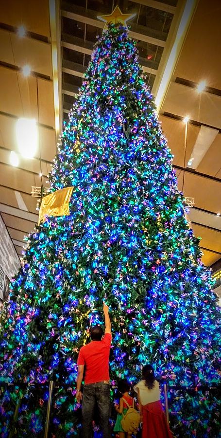 Christmas Photograph - Christmas Tree by Aiz