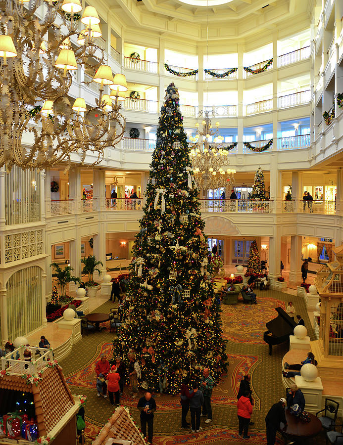Christmas tree at Grand Floridian Photograph by David Lee Thompson