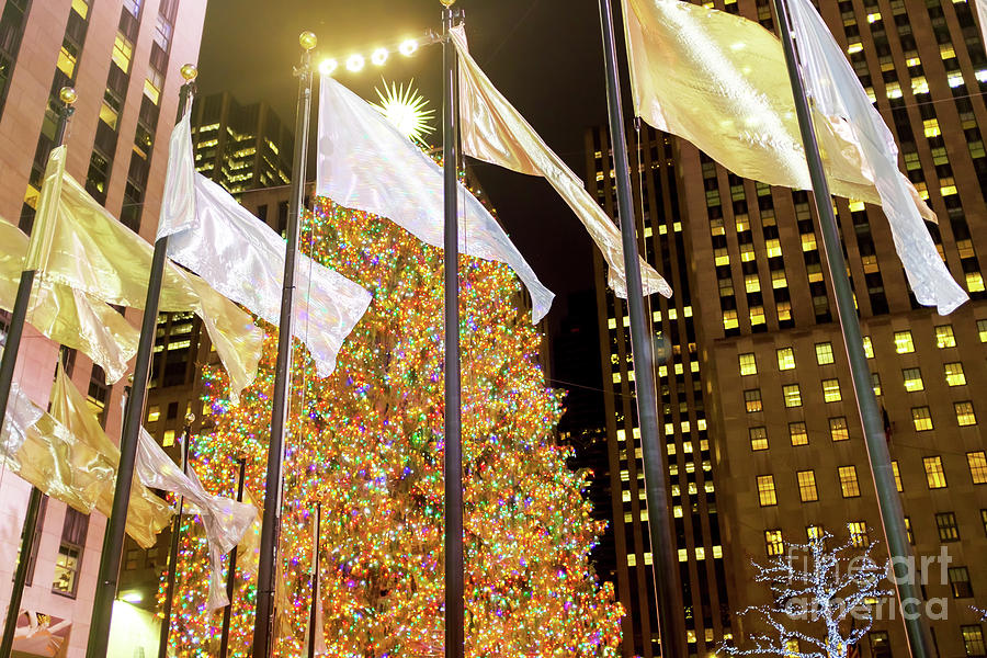 Christmas Tree at Rockefeller Center in New York City Photograph by John Rizzuto