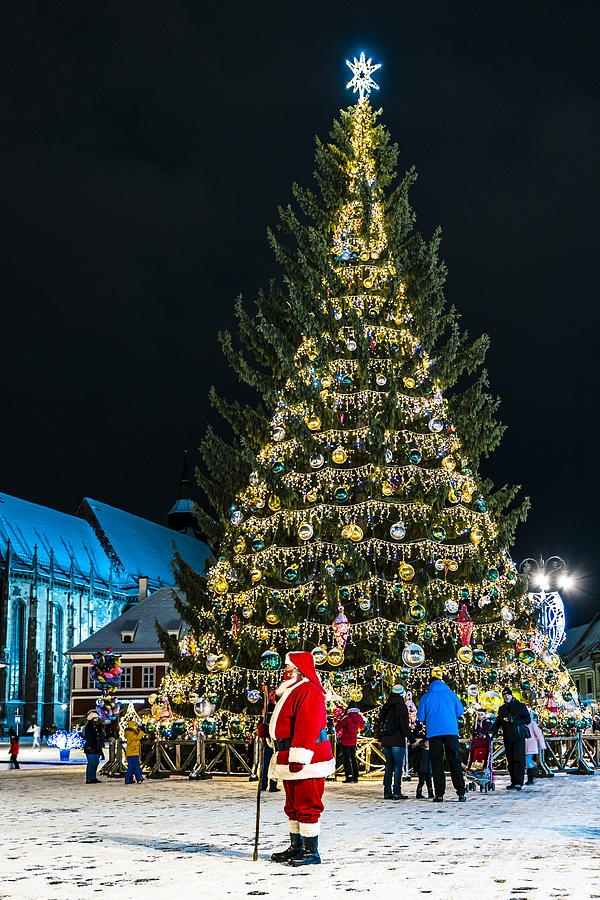 Christmas Tree Photograph by Attila Szabo