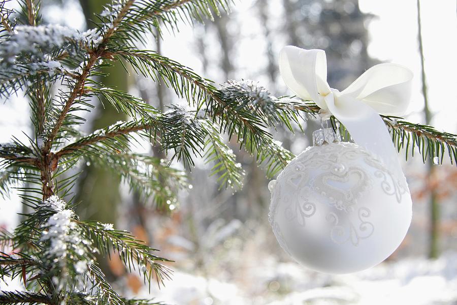 Christmas Tree Bauble With Bow Photograph by Anneliese Kompatscher