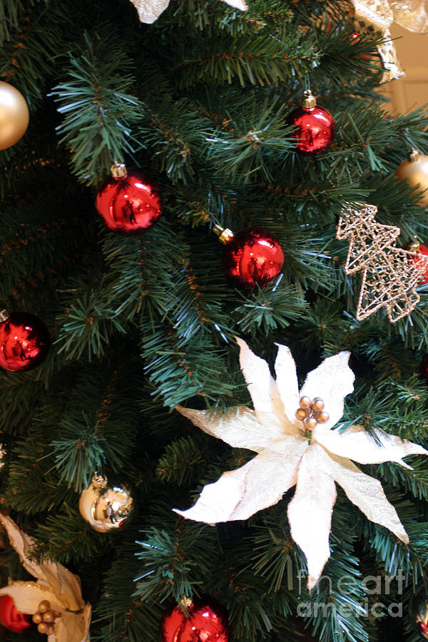 Ball Photograph - Christmas Tree, Bologna, Emilia Romagna, Italy by 