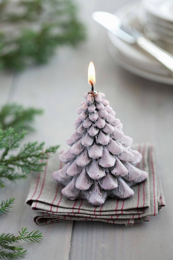 Christmas-tree Candle And Conifer Twigs Photograph by Martina Schindler