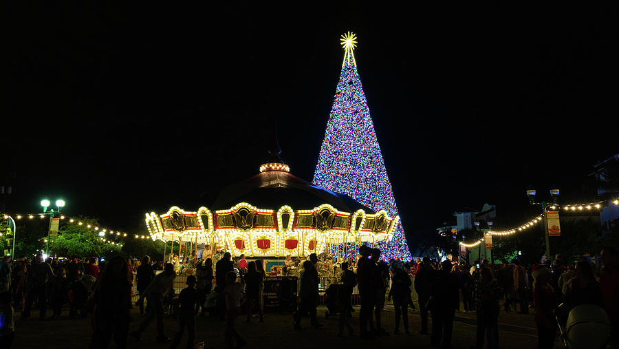 Christmas Tree Carousel Delray Beach Florida Photograph by Lawrence S Richardson Jr