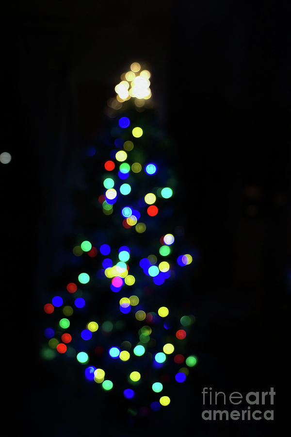 Christmas Tree Photograph by Cassandra Buckley