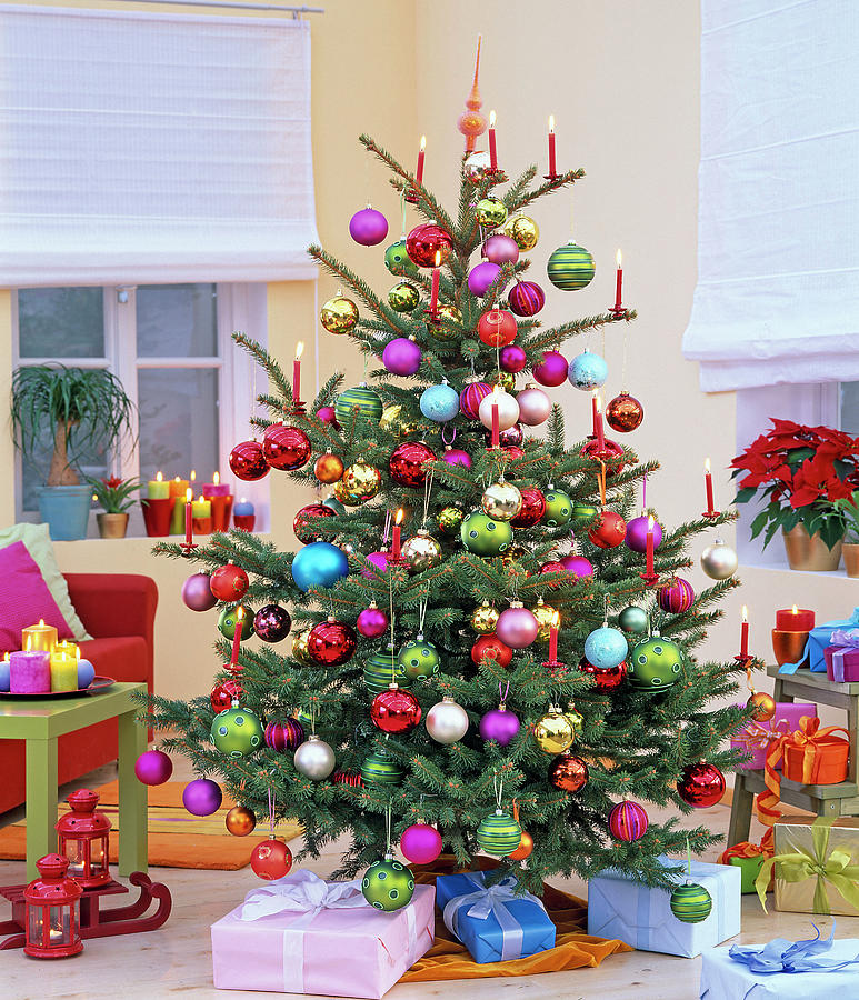 Christmas Tree Decorated With Colorful Balls Photograph by Friedrich Strauss