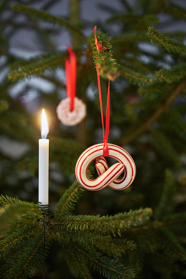 Christmas-tree Decoration In Shape Of Pretzel Photograph by Birgitta Wolfgang Bjornvad