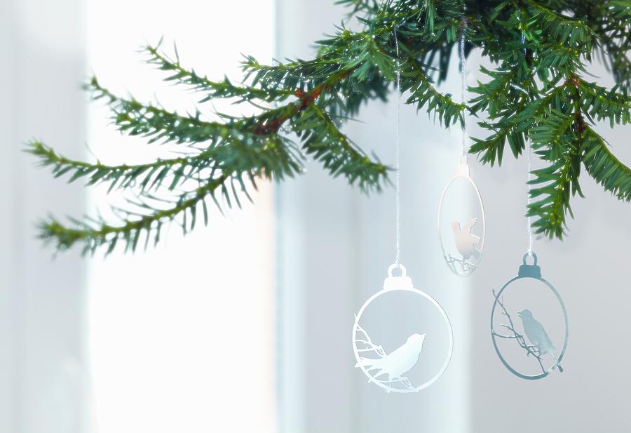 Christmas Tree Decorations Photograph by Franziska Taube