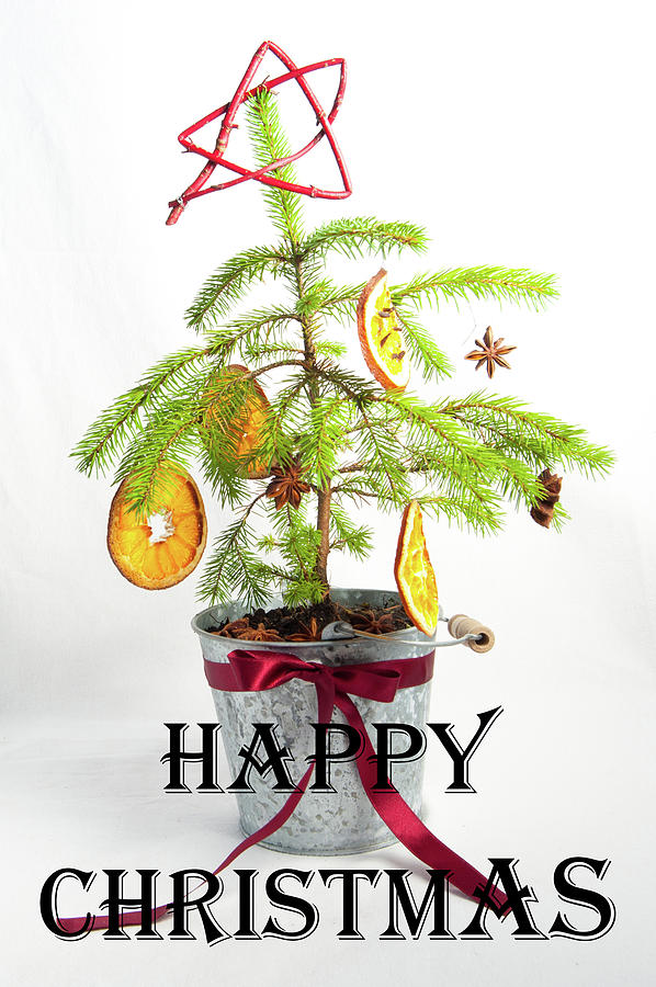 Christmas Tree - Happy Christmas Photograph by Helen Jackson