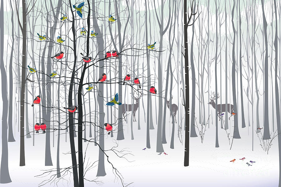 Feather Digital Art - Christmas Tree In The Forest by Fresher Feather Digital Art - Christmas Tree In The Forest by Fresher