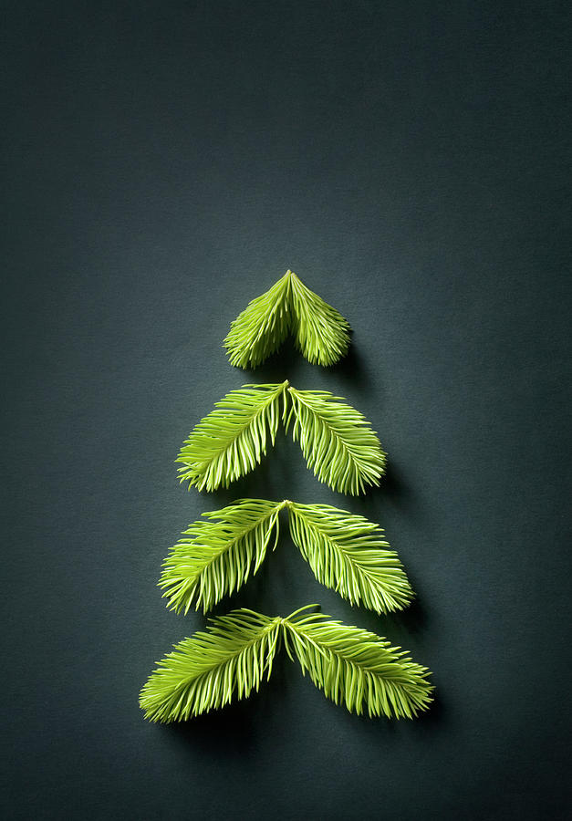 Christmas Tree Photograph by Malerapaso Christmas Tree Photograph by Malerapaso
