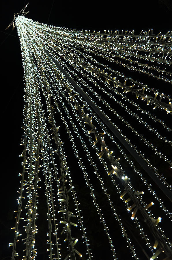 Christmas tree of Christmas lights Photograph by Angelo DeVal