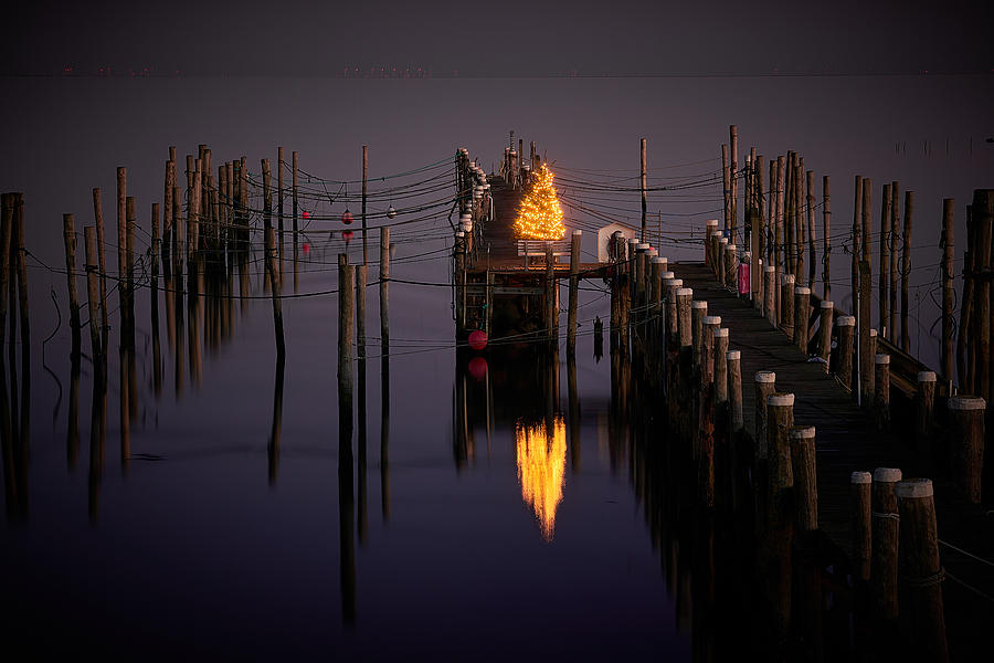 Christmas Tree On The Pier - Merry Christmas Photograph by Bodo Balzer