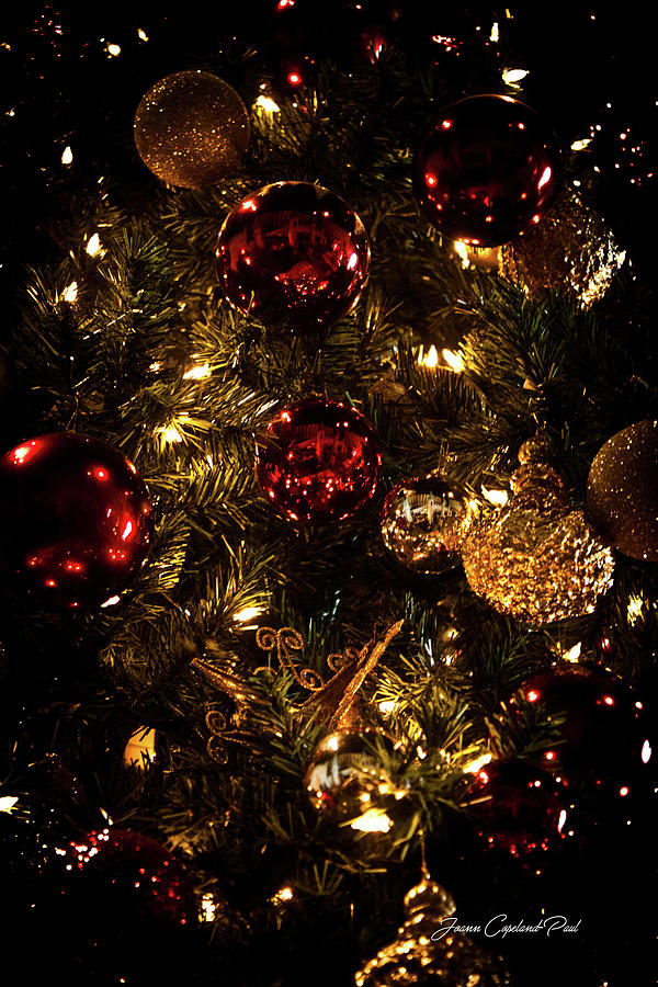 Christmas Photograph - Christmas Tree Ornaments 1 by Joann Copeland-Paul
