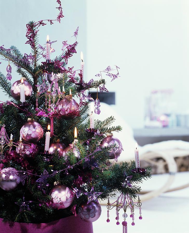 Christmas Tree Romantically Decorated With Shiny Baubles And Real Candles Photograph by Matteo Manduzio