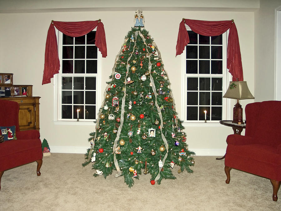 Christmas Tree Photograph by Sally Weigand