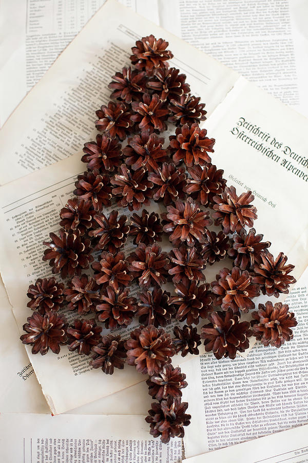 Christmas-tree Shape Made From Pine Cones On Book Pages Photograph by Alicja Koll