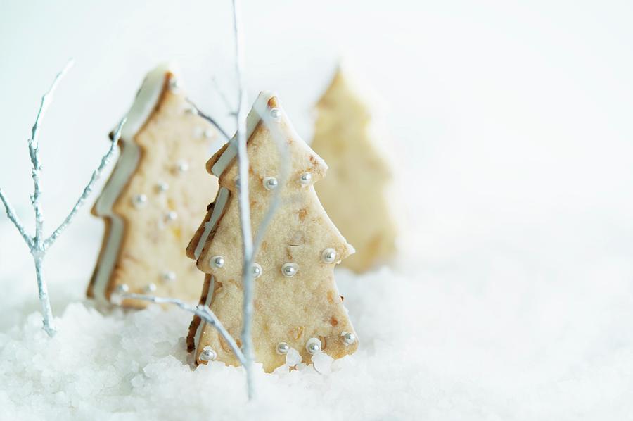 Christmas Tree-shaped Ice Cream Sandwiches Photograph by Kristy Snell