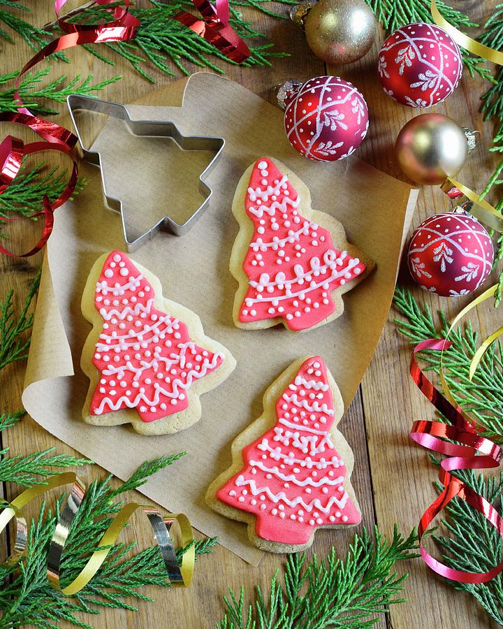 Christmas Tree-shaped Shortbread Biscuits With Red And White Icing Photograph by The Studio Collection