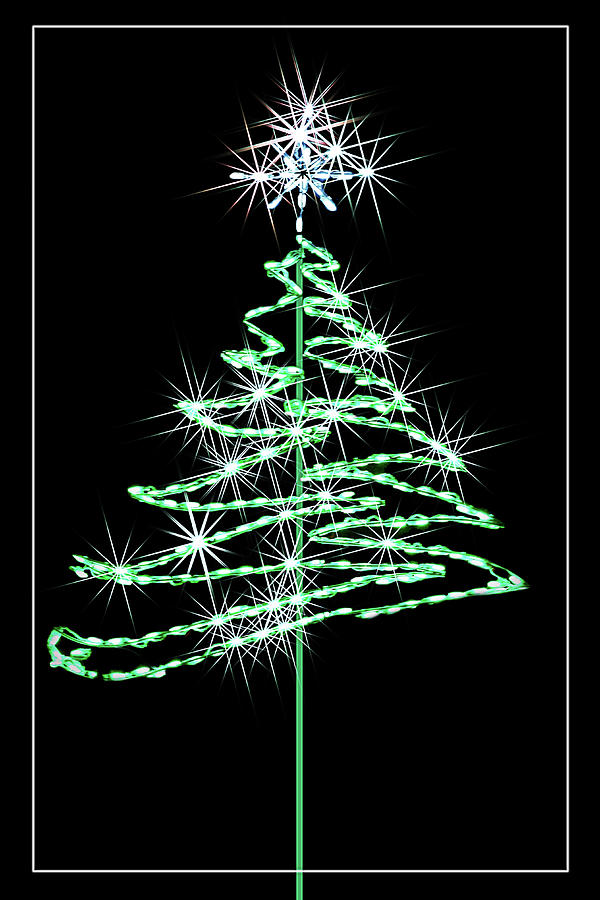 Christmas Tree Sparkle Photograph by Nikolyn McDonald