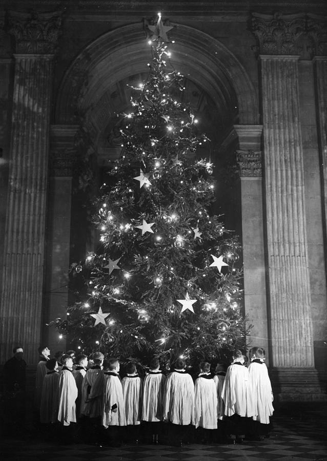 Christmas Tree Photograph by Topical Press Agency Christmas Tree Photograph by Topical Press Agency