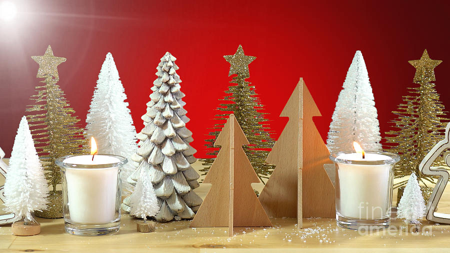 Christmas Photograph - Christmas Trees Centerpiece by Milleflore Images