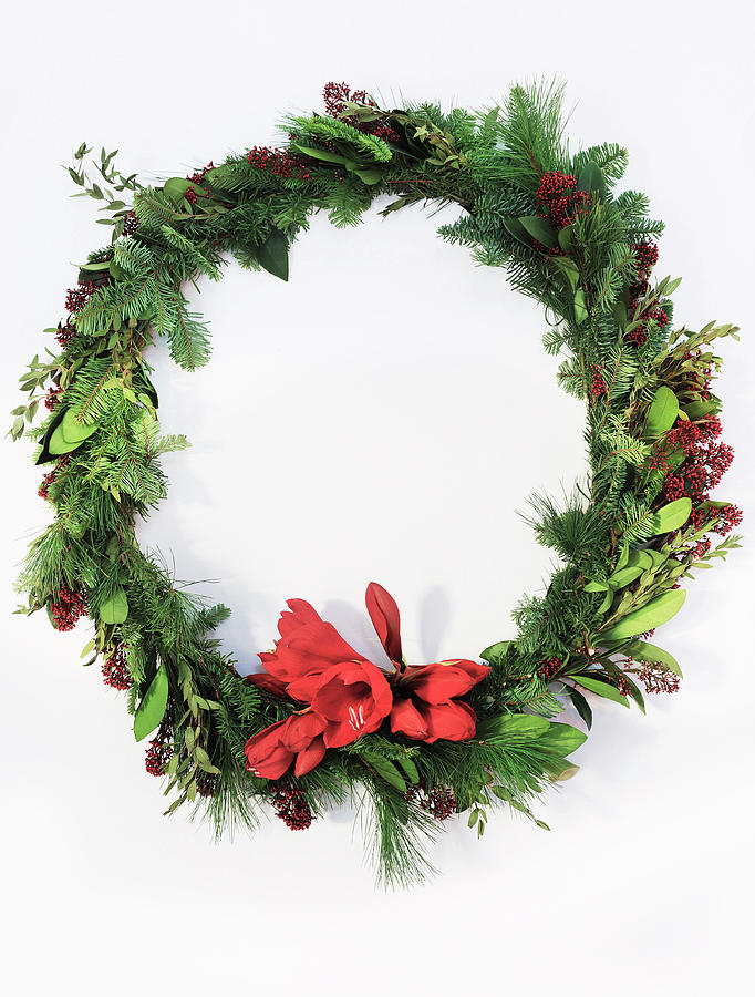 Christmas Wreath Of Green Branches And Amaryllis Flower Photograph by Annette Nordstrom