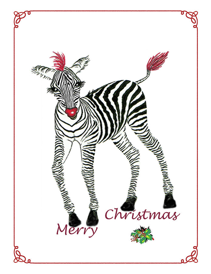 Christmas Zebra Drawing By Loretta White Fine Art America