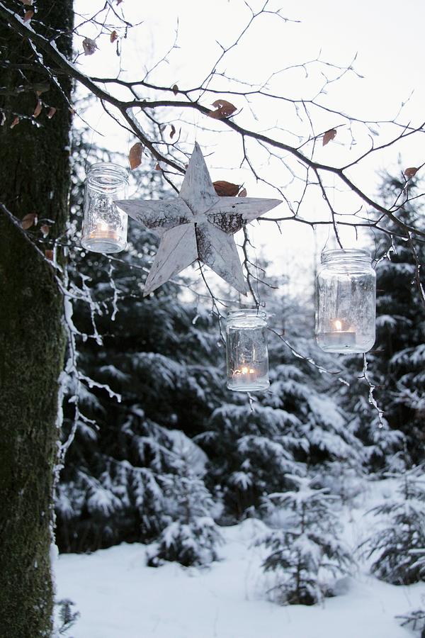 Christmassy Ambience In The Garden Photograph by Anneliese Kompatscher