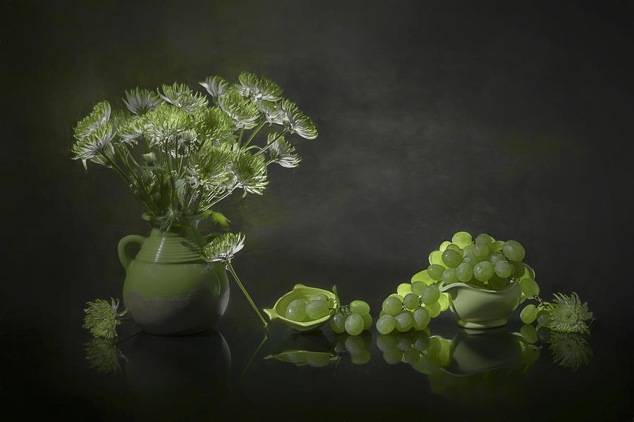 Grape Photograph - Chrysanthemum And Grape by Lydia Jacobs