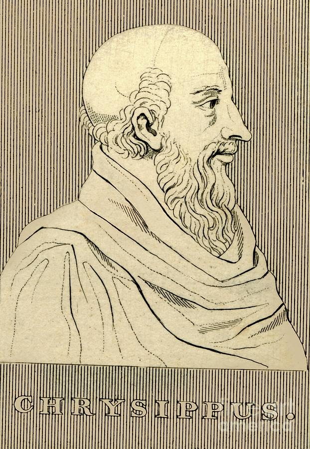 Chrysippus Drawing by Print Collector