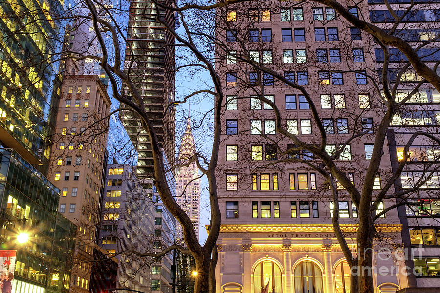 Chrysler Building Through the Trees at Night New York City Photograph by John Rizzuto