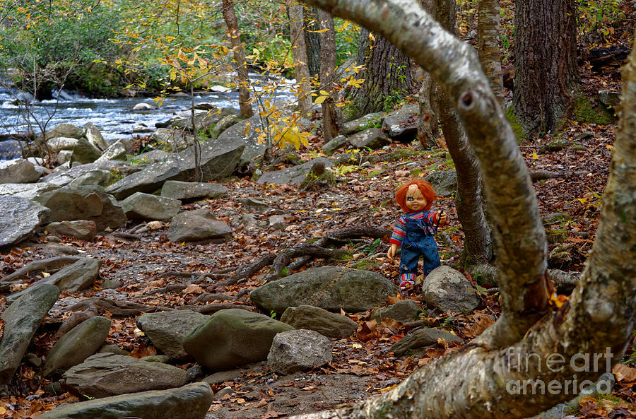 Chucky In The Woods Photograph